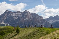 _MG_8064.jpg