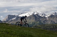 _MG_8120.jpg