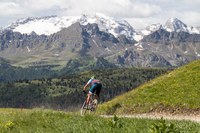 _MG_8141.jpg