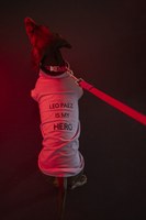 ©wisthaler.com_26_06_hero__HHW0245.jpg