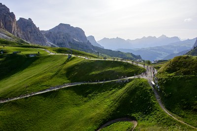 2A3A3958 © Planinschek Freddy.jpg