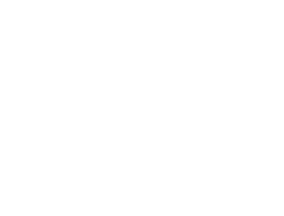 avirex.png