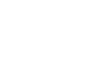 avirex.png