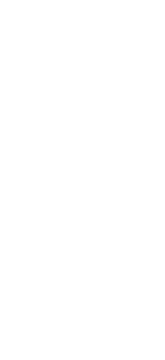 fassa.png