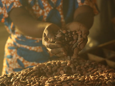 ALL_about-us_Cocoa-Farming-Program_cocoa-beans_hands_HeroEditorial.jpg