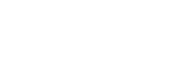 logo_avirex.png